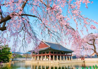 Tour Ngày Tham Quan Incheon Từ Seoul Của Wondertrip